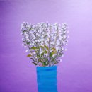 백양 메리야스 이미지