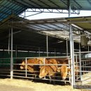 함라보건지소 이미지