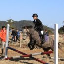 청해초등학교 이미지
