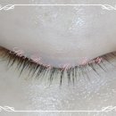 꽃보다속눈썹