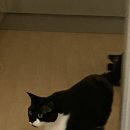 뉴한강초밥 이미지