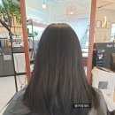 헤어팔레트 이미지