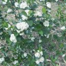 상진농장 이미지