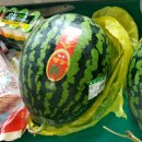 부림동-3 이미지