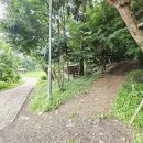 최남준 | [경기,등산] 화성 태봉산 등산! 무우사-정상-상방산-내산-원점! 폭염 산행 후기!