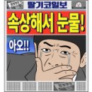 해든빌레 네이버블로그