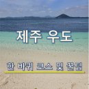 우도항 대합실 도로변 | 5월 가볼만한곳, 우도 한 바퀴 코스 추천 | 하우목동항 배시간부터 전기차 여행코스 총정리