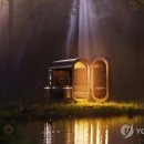 레드닷 이미지