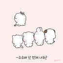 다다슈슈