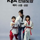 정의태권도체육관 | 우리 아이 마음 근육과 체력을 쑥쑥! 양산 키즈 체육관, 태권트리의 특별함