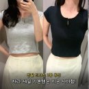스타일핏209 | 자라 세일 쇼핑 후기! 만원초반 기본 반팔 티셔츠 3가지 추천