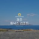 민트플레이 | 아일랜드 리조트 : 아이와 섭지코지에서 힐링하기 (민트 카페, 코지 디너뷔페, 키즈플레이라운지 후기)