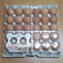 용진유통 이미지