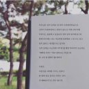 네일헤븐 - 영등포구 당산로28길 16 | 네일헤븐