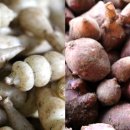 노내골농장 이미지