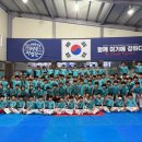 대한민국 태극시범단 이미지