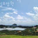 정방연로 이미지