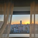 사랑다실 | ♪ 2024 겨울 도쿄여행 [2박3일/하코네!가려다실패한썰/알차게먹은도시여행]