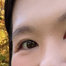 장한평역 이미지