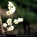 정자천로32번길 이미지