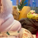 스파트리송정 이미지