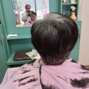 장동이발 Daum카페