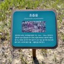 서해랑길 70코스 이미지