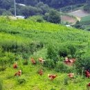 에브라임하우스 이미지