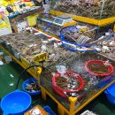 명덕시장 | 안양 평촌농수산물시장 명덕수산 새우구이 내돈내산 솔직 후기