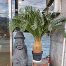 제주보말칼국수 | 포천 영북점 맛집:) 바다내음 듬뿍~! 바당오름 제주보말칼국수~! 방문후기