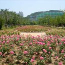 대연수목전시원 이미지