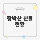 함박산 산불 원인과 피해 현황은 무엇인가