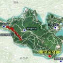 숲정원