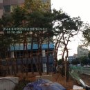 수목공인중개사사무소 이미지