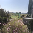 영재 par3 골프랜드 이미지