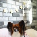 카페니와공방