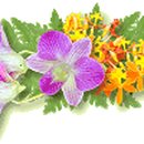 가수원로-22 이미지