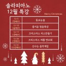 솔라피아노 이미지