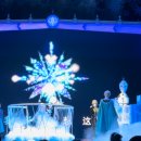 돼지왕국 | 상하이 탐방기 #4 - 상하이 디즈니랜드 트론 곰돌이 푸 겨울왕국 공연