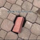 김플랜 | 죽지도 않고 살아 돌아온 블로그