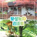 보성여행 숙소 추천 녹차밭 옆 보성녹차리조트 내돈내산 후기