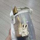 아놀드뷰티 | 수영 초보 준비물 수영템 다이소 추천