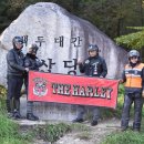 정선군 버들고개 이미지