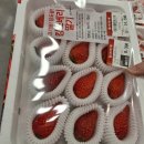 킹스베리 이미지