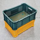 101농수산물 - 10199 | 101농수산물