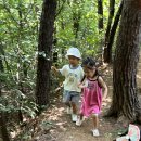 7월21일 이슬3반 세수리산 과 떡갈나무 탐색 이미지