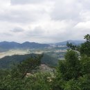 도원로 Daum카페
