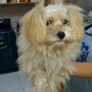 성화카센타 이미지