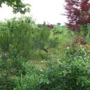 풀천지농장 이미지