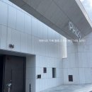 129 | 펜트하우스 PH129 후기 추천